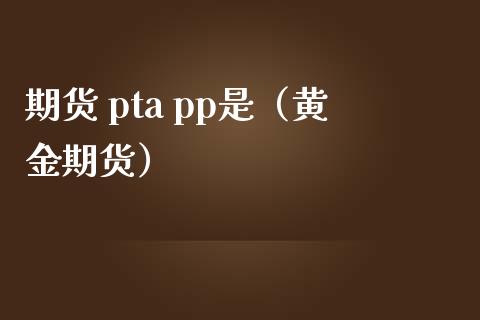 期货 pta pp是（黄金期货）