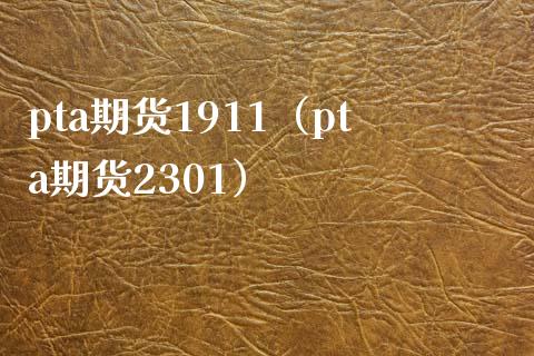 pta期货1911（pta期货2301）