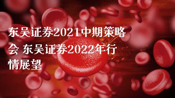 东吴证券2021中期策略会 东吴证券2022年行情展望