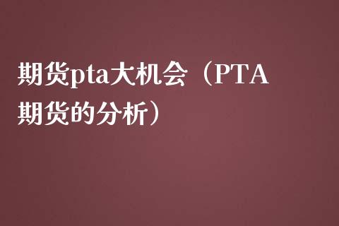 期货pta大机会（PTA期货的分析）