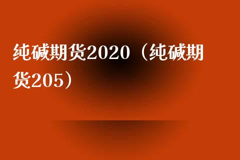 纯碱期货2020（纯碱期货205）