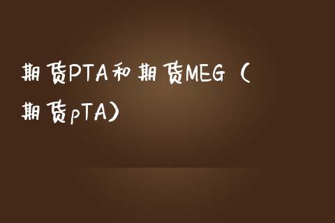 期货PTA和期货MEG（期货pTA）