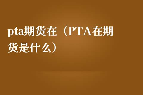 pta期货在（PTA在期货是什么）