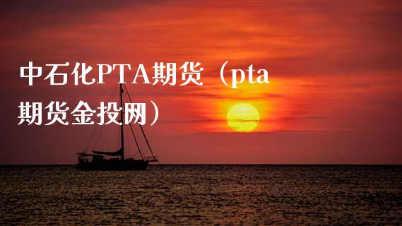 中石化PTA期货（pta期货金投网）