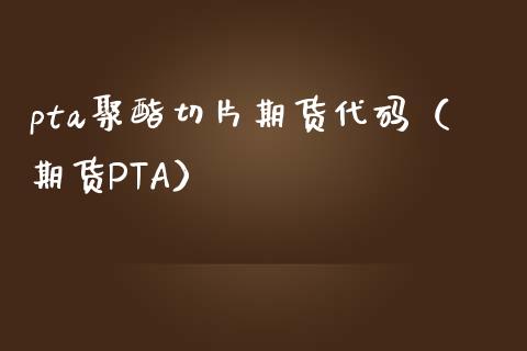 pta聚酯切片期货代码（期货PTA）