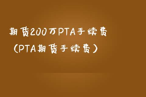 期货200万PTA手续费（PTA期货手续费）