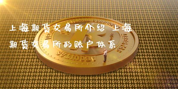 上海期货交易所介绍 上海期货交易所的账户体系