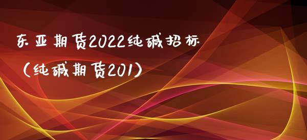 东亚期货2022纯碱招标（纯碱期货201）