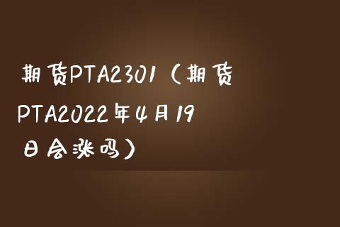期货PTA2301（期货PTA2022年4月19日会涨吗）