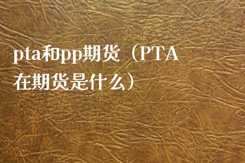 pta和pp期货（PTA在期货是什么）