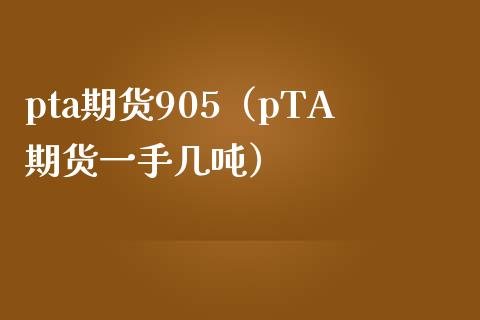 pta期货905（pTA期货一手几吨）