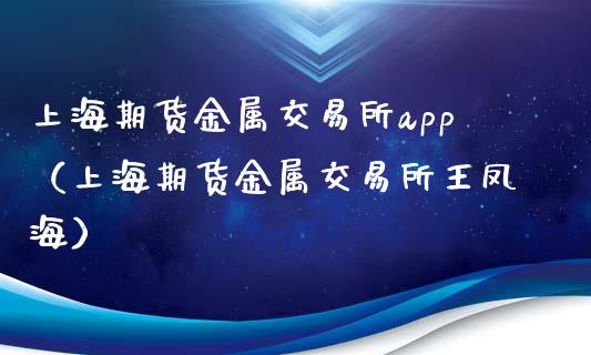 上海期货金属交易所app（上海期货金属交易所王凤海）