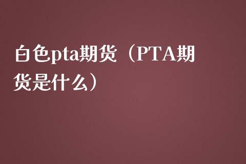 白色pta期货（PTA期货是什么）