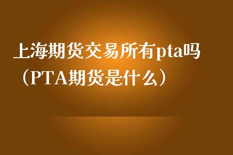 上海期货交易所有pta吗（PTA期货是什么）