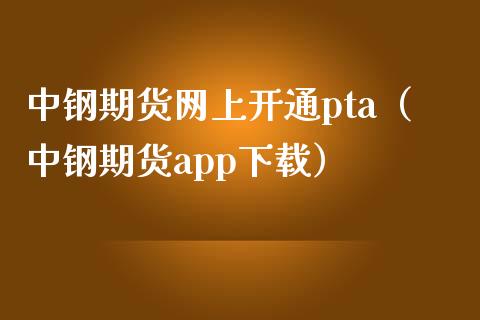 中钢期货网上开通pta（中钢期货app下载）
